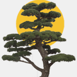 boyscoutuniversity.com