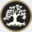 dragontreeapothecary.com