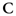 collocollo.com