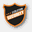 evolutionsecurity.ro