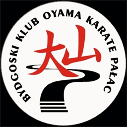 oyamakaratebydgoszcz.pl