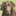 labrador-oskar.de.to