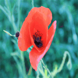 bienvenue-chez-amelie.over-blog.com