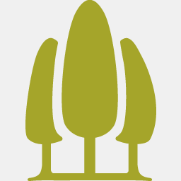 mishaderidder.com