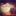 philipmurraywarson.bandcamp.com