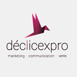 declicexpro.com