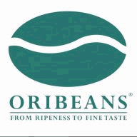 orientalsolution.com