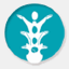chirohudson.ca