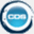 cds-consulting.com
