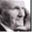 alfred-excel-vachris.com