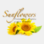 sunflowerscosmeticanatural.es