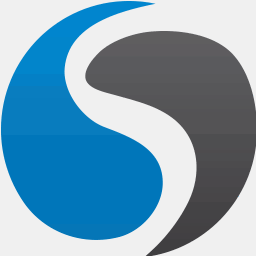 citychauffeurservices.org