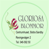 gloriosablommor.com