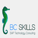 bcskills.com