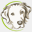 mobiruby.org