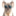 aussiediscreet.com.au