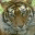 lokchitra.wordpress.com