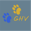 ghv-leiningen.de