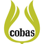 laboratoriocobas.com