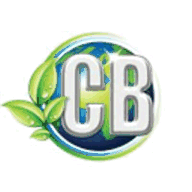 gocleanbright.com