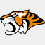 gotigers.de