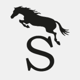 hs-sporthorses.com