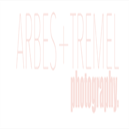 arbes-tremel-photography.foliodrop.com