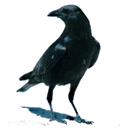 quietcrow.org