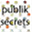 publiksecrets.com