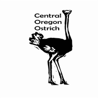 centraloregonostrich.com