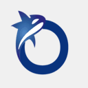 orca-engineering.com