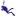 deep-diving.divescover.com