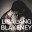 lisalangblakeney.com