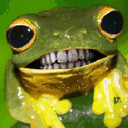 lolfrogs.com