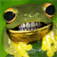 lolfrogs.com