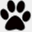 spayway.org