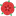 stmprimary.org