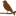 catalystinsurancesystems.com