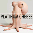 platinumcheese.tumblr.com