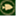 minnowfaces.com