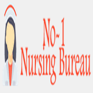 no1nursingbureau.com