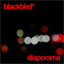 blackbirdmusic.bandcamp.com