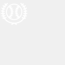 nwtlimoint.com