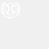 nwtlimoint.com