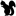 blacksquirreltiming.com