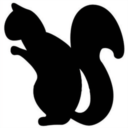 blacksquirreltiming.com