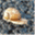 andreagraziani.net