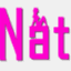 natnatfitness.com