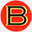 burnsfire.com