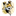 canemucca.com